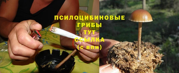 трава Арсеньев