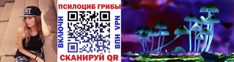 Псилоцибиновые грибы Psilocybe Мещовск